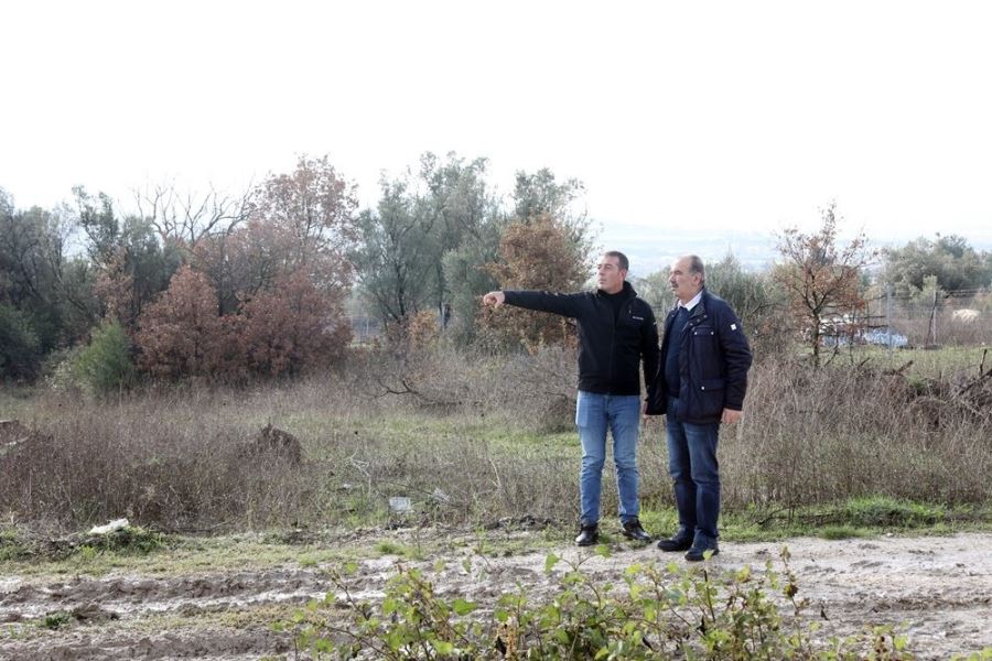 MUDANYA BELEDİYESİ AYÇİÇEK YAĞI VE BUĞDAY UNU ÜRETECEK