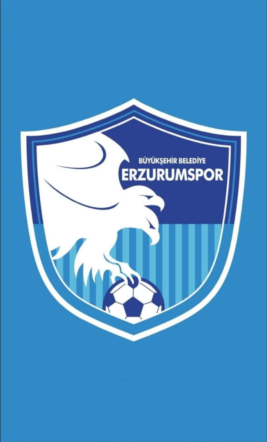 ALTAY:1 / ERZURUMSPOR FK:1 