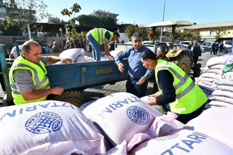 Ata tohumu karakılçık buğdayı Ege