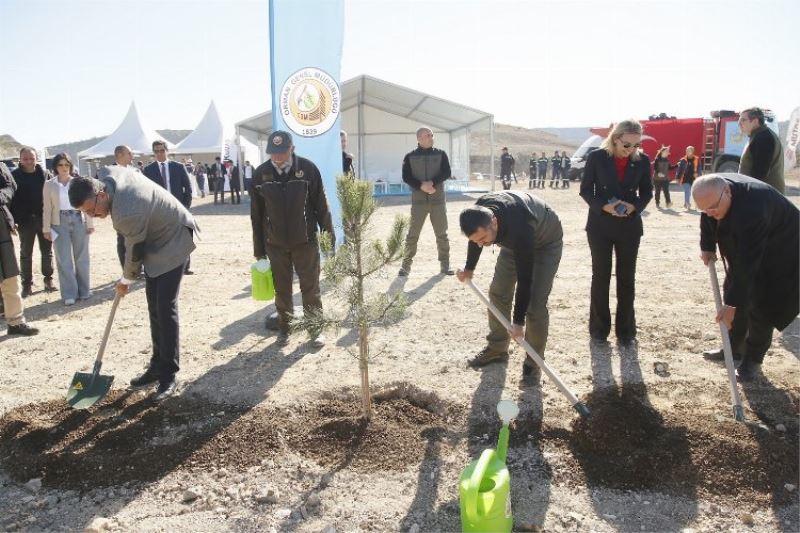 Kütahya’daki madenlerini 80 bin fidanla yeşeriyor