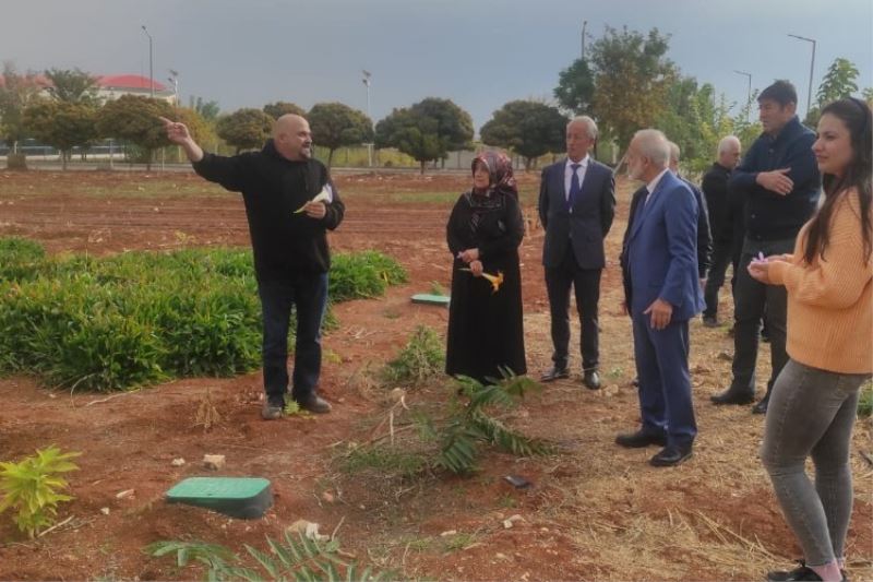 Dünyanın en değerli baharatı Şanlıurfa’ya yeniden kazandırıldı