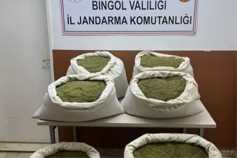 Bingöl