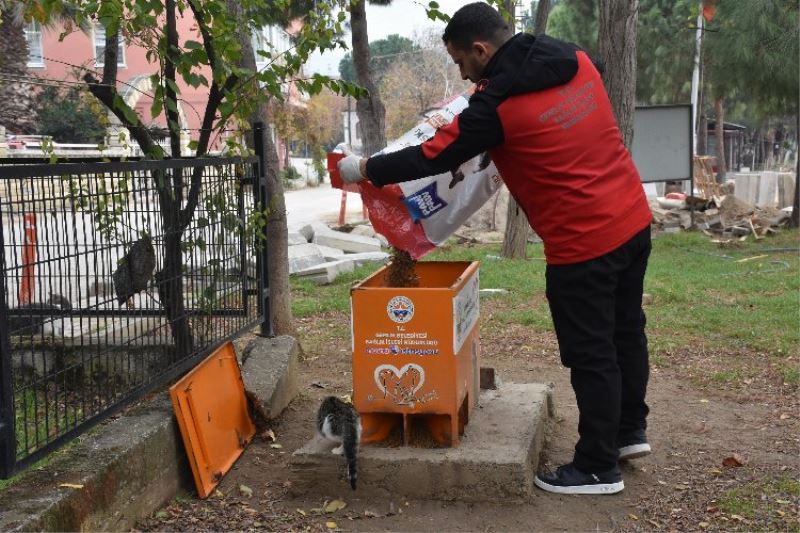 Bursa Gemlik