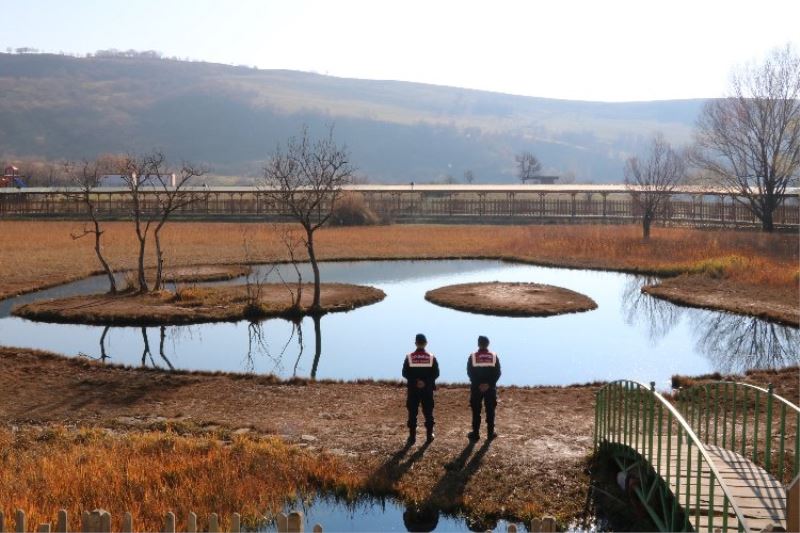 Bingöl Jandarması, 