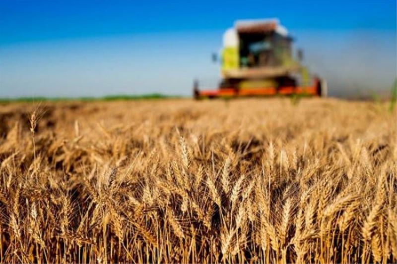 Bazı tarım ürünlerinin ihracatına ilişkin düzenleme 30 Haziran