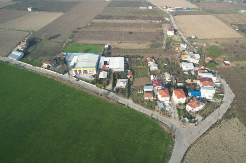 Manisa