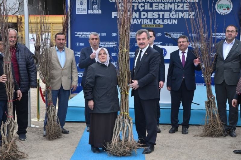 Bursa Kelesli üreticiye meyve fidanı ve tohum desteği