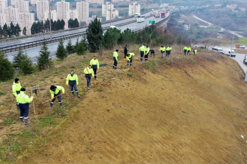 Kocaeli Şehir Hastanesi