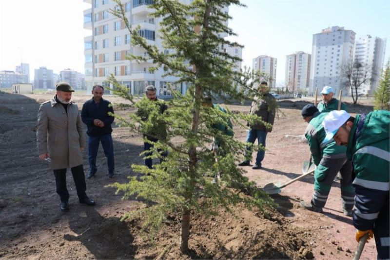 Kayseri Kocasinan ağaç dikim sezonunu açtı 