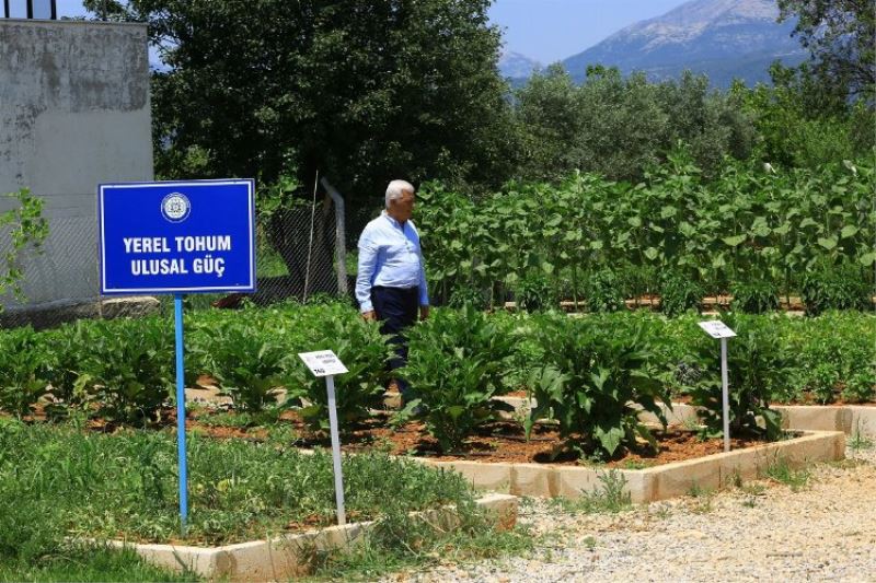 Muğla Büyükşehir’den köy enstitüleri için anlamlı etkinlik