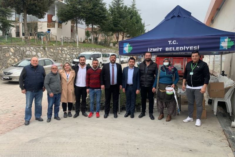 Kocaeli İzmit Belediyesinden vatandaşlara selvi fidesi 