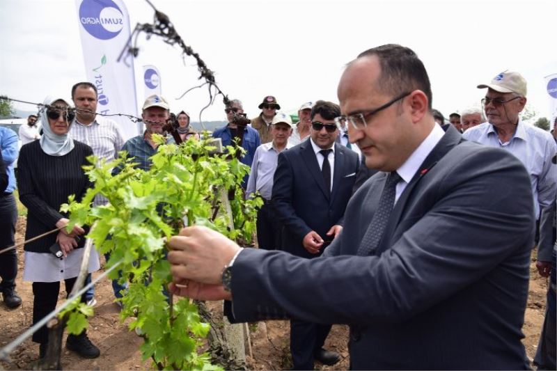 Manisa tarımında biyoteknik mücadele