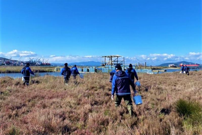 Muğla Büyükşehir’den Milas’ta vektörle mücadele