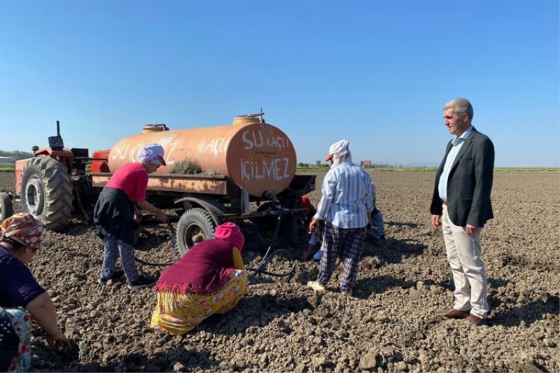 Edirne İpsala