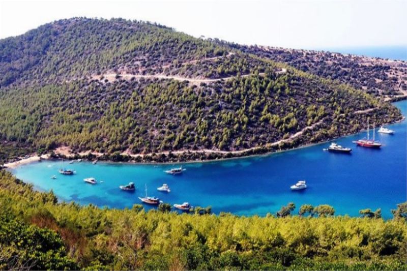 Muğla