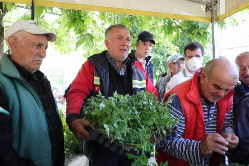 Bursa Gemlik