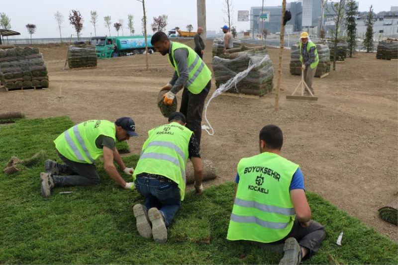 Kocaeli Şehir hastanesi yolunda çevre düzenlemesi hızlandı