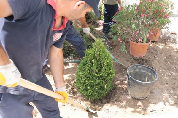 Gürsu’nun Caddelerine Rengarenk Çiçeklerle Yaz Coşkusu