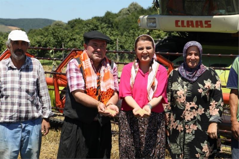 Kocaeli İzmit Belediyesi