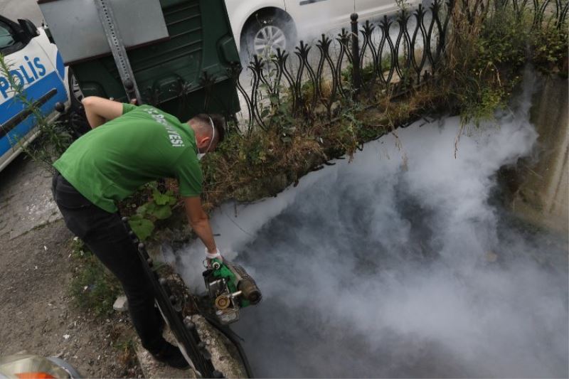 Rize ilaçlamayı üç ayrı ekiple yapıyor