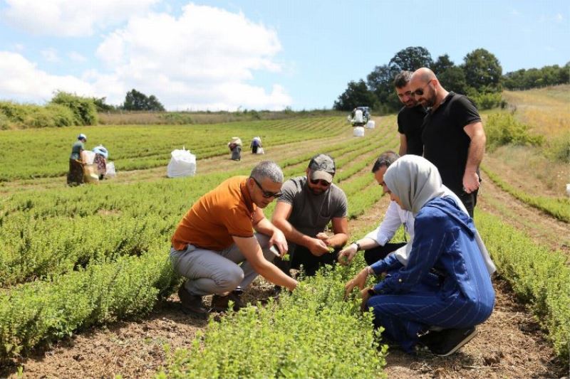 Kocaeli’de melisa hasadı başladı