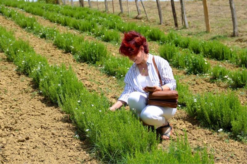 Kocaeli heyetinden TABİP çıkarması