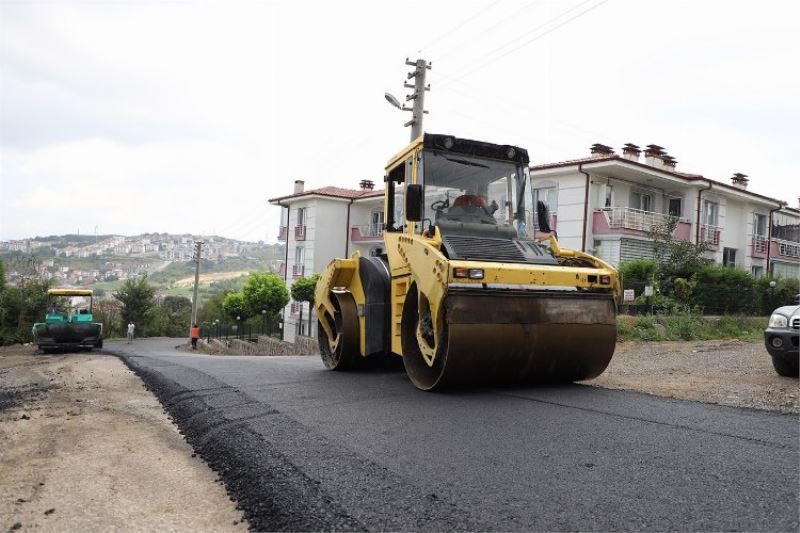 Sakarya Kemalpaşa