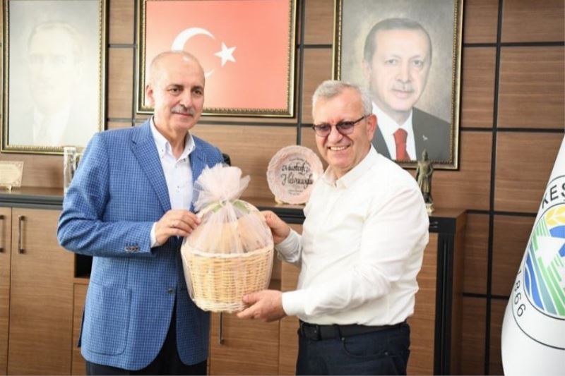 Numan Kurtulmuş, Filistin