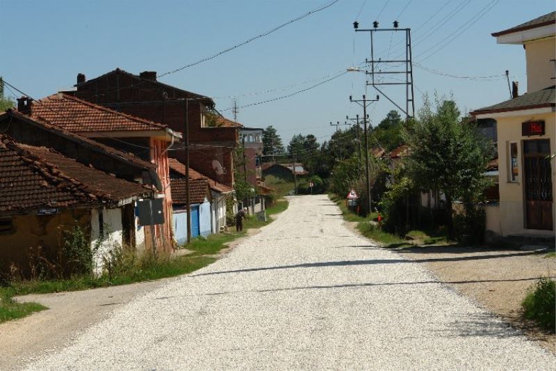 Bilecik-Bursa karayolunda sathi kaplamaya devam