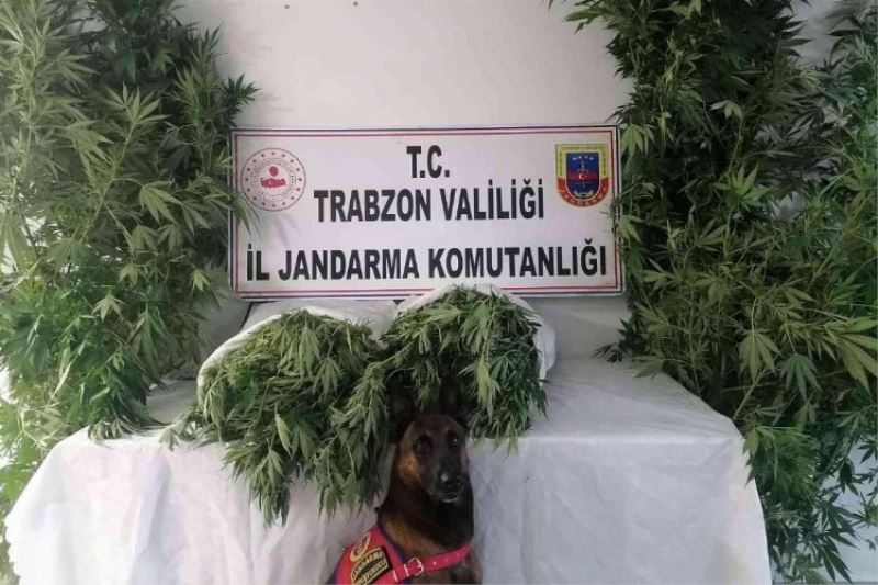 Trabzon Ortahisar