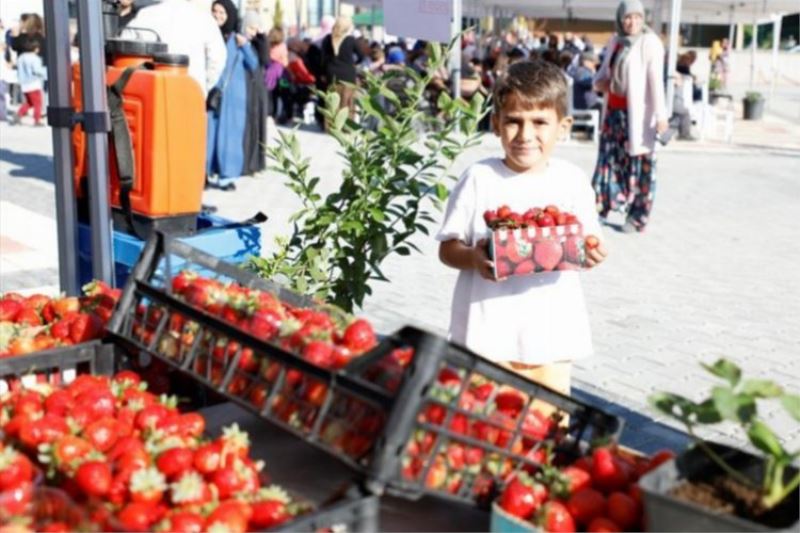 Bursa İnegöl