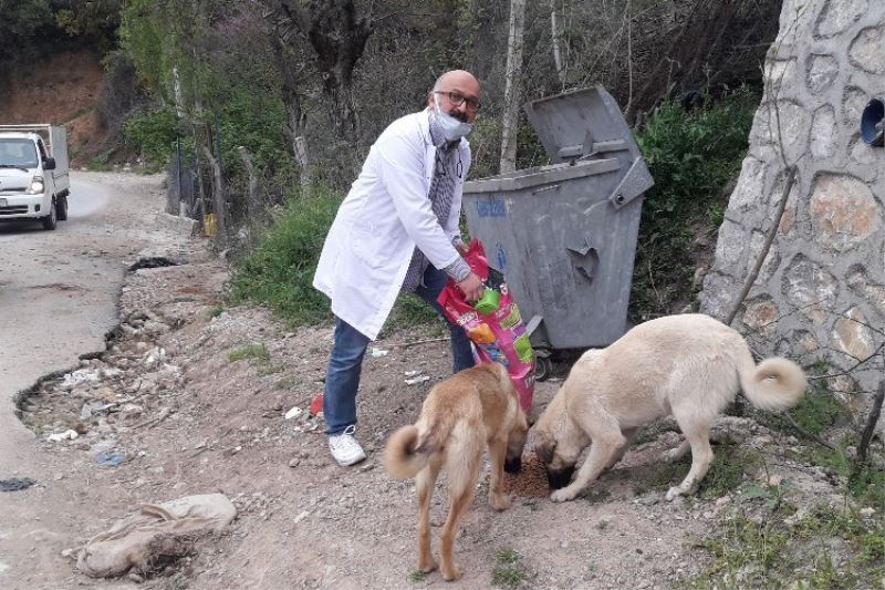 Bursalı veterinerden 