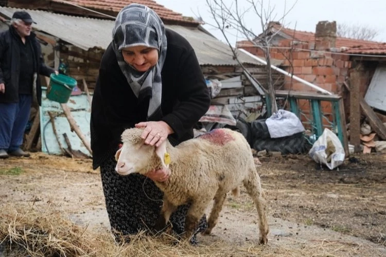 Eskişehir Büyükşehir