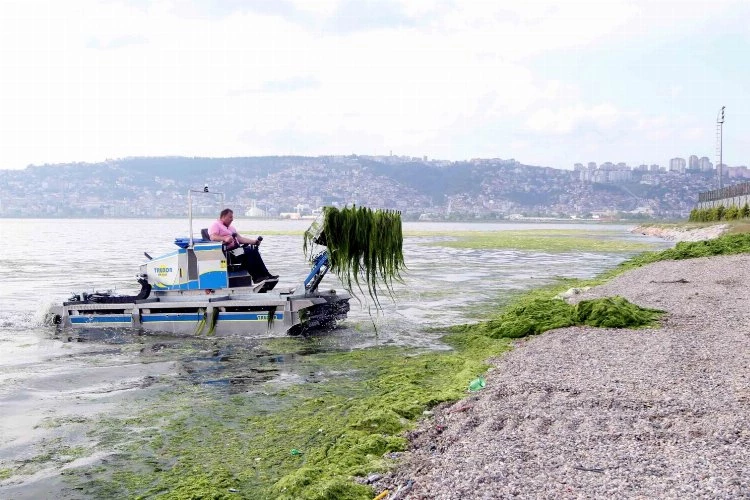 Dere, deniz ve kıyılardan 49 kamyon katı atık