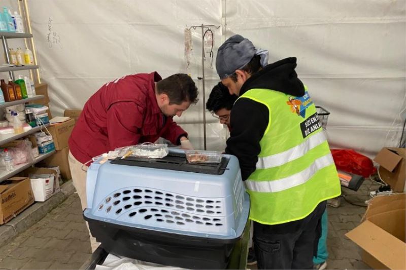 Patibüs, afet bölgesindde can dostlarının yaralarını sarıyor