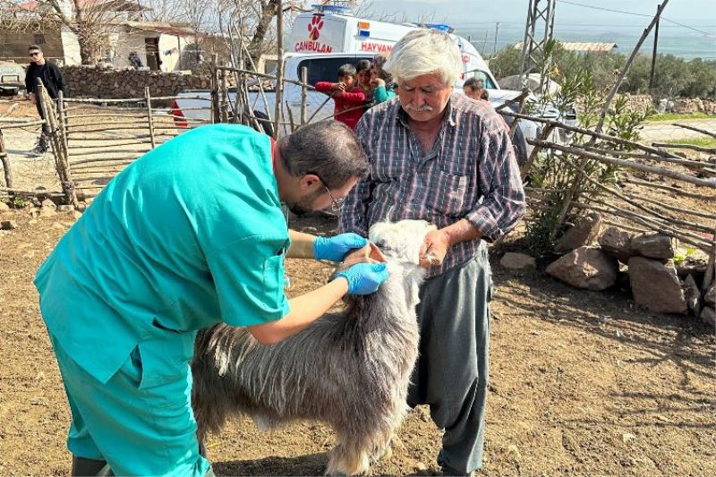 Hatay’daki üreticilerin hayvanlarına muayene