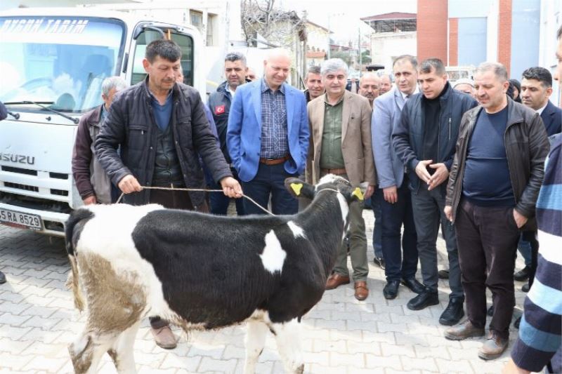 Manisa Kulalı hayvan üreticilerine önemli destek