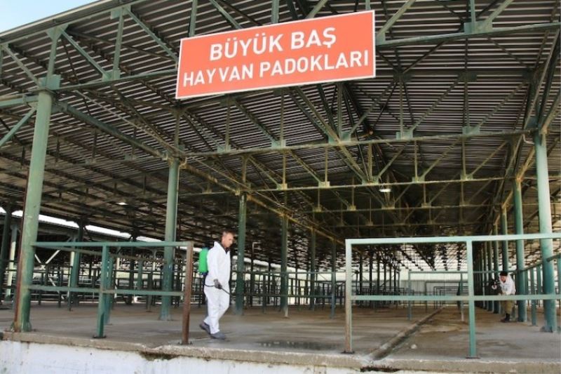 Şap tehlikesi geçti, hayvan pazarları açılıyor