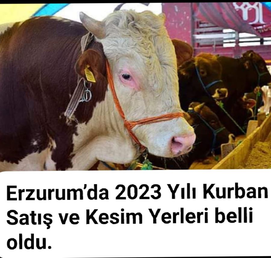 İşte Erzurum’da Kurban Satış ve Kesim Yerleri