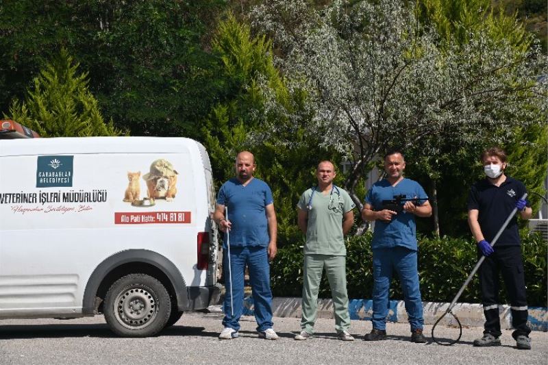 Karabağlar’da kurban yakalama timi iş başında