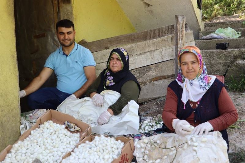 Evlerde üretilen 1 kilo kozadan 400 lira kazanıyorlar