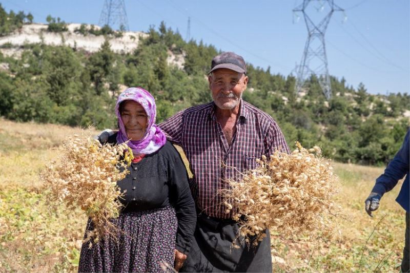 Büyükşehir