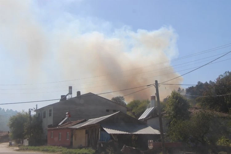 Arazi yangını ormanlık alana sıçramadan söndürüldü