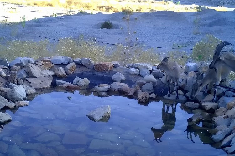 Antalya’daki üretim sahasını yeniden doğaya kazandırıyor